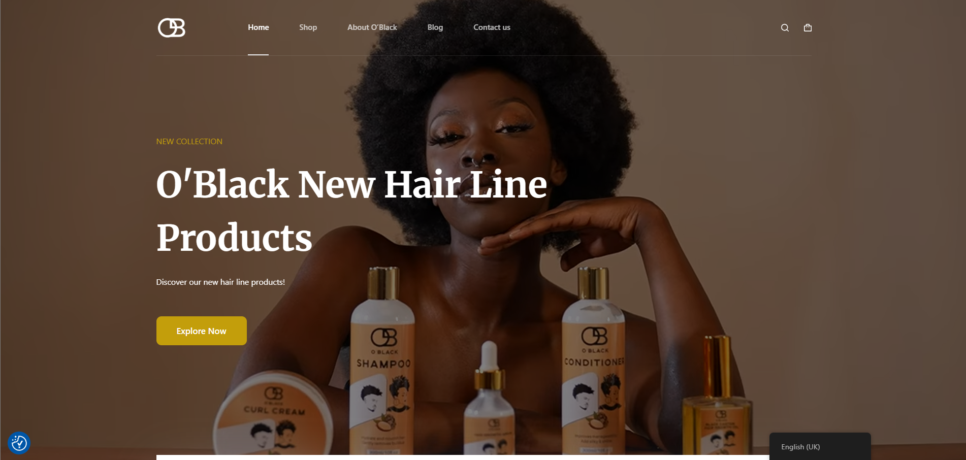 Floris Daenens websiteproject oblack